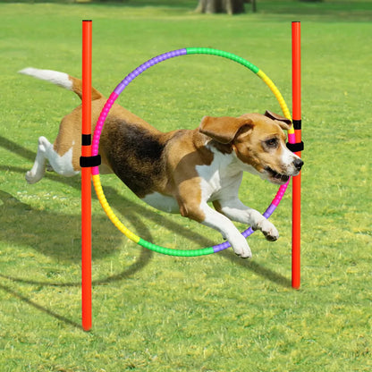 Agility Honden Horden Set