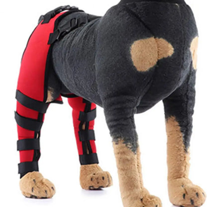Herstelmouw Pootbrace Voor Achterpoten