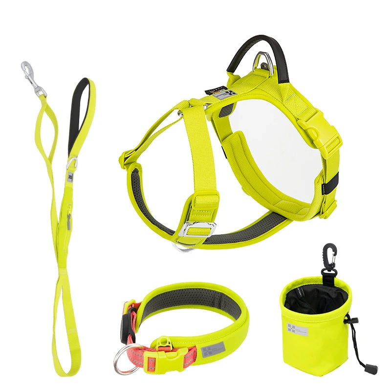 Luxe Honden Wandel Set