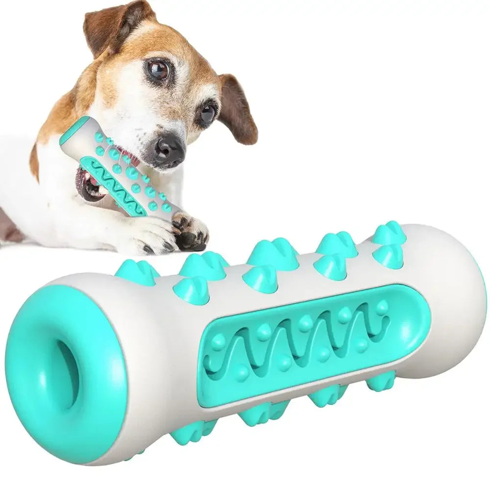 Gebitsverzorgend Speeltje voor Honden - Cilinder