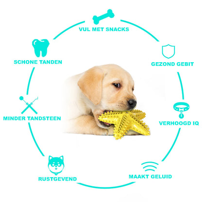 Gebitsverzorgend Speeltje voor Honden - Zeester