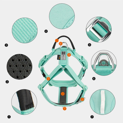 Luxe Honden Wandel Set