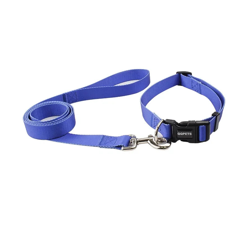 Halsband & Riem Set
