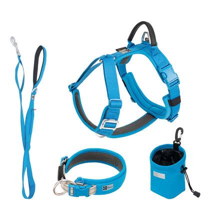 Luxe Honden Wandel Set