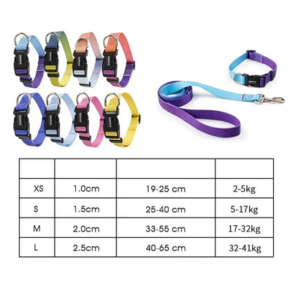 Halsband & Riem Set