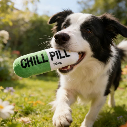 Hondenspeeltje - Chill pill
