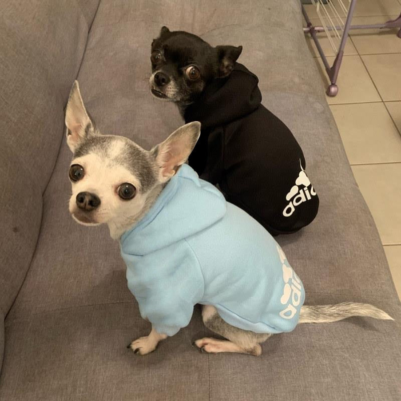 Adidog Hoodie