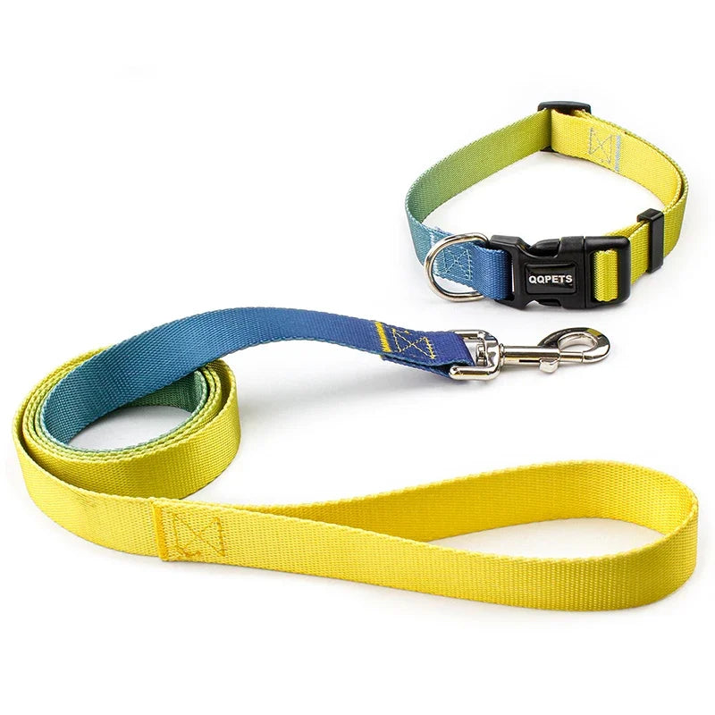 Halsband & Riem Set