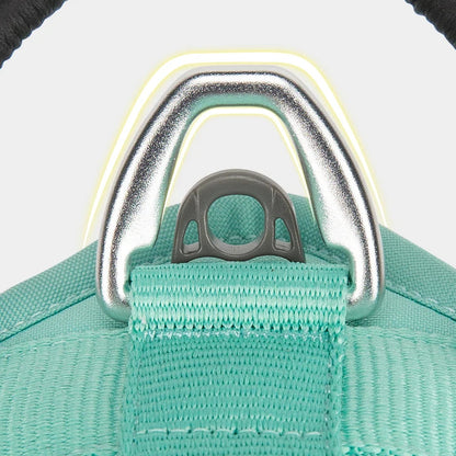 Luxe Honden Wandel Set