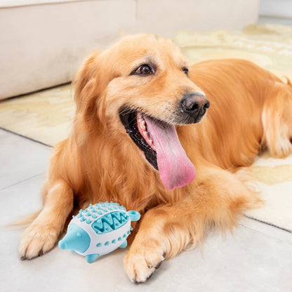 Gebitsverzorgend Speeltje voor Honden - Egel