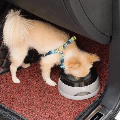 Honden Drinkbak Voor In De Auto