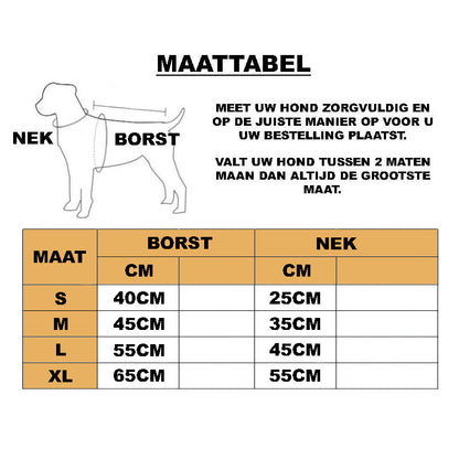 Postbezorger Kostuum