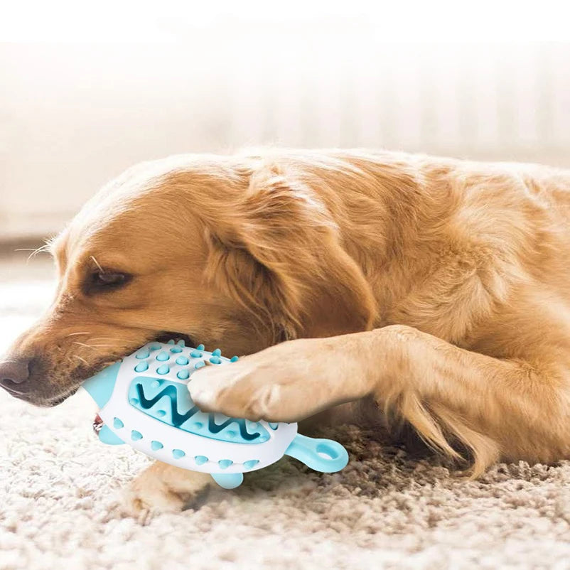 Gebitsverzorgend Speeltje voor Honden - Egel