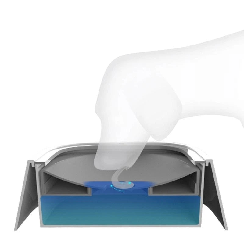 Honden Drinkbak Voor In De Auto