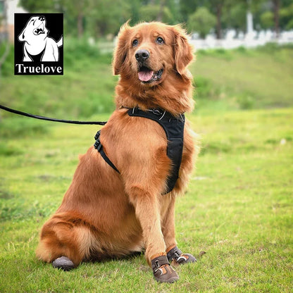 Truelove Honden Schoenen