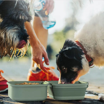 Draagbare Voer En Water Bak