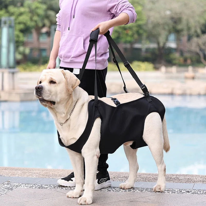 Ondersteunend Harnas voor Invalide en Hulpbehoevende Honden