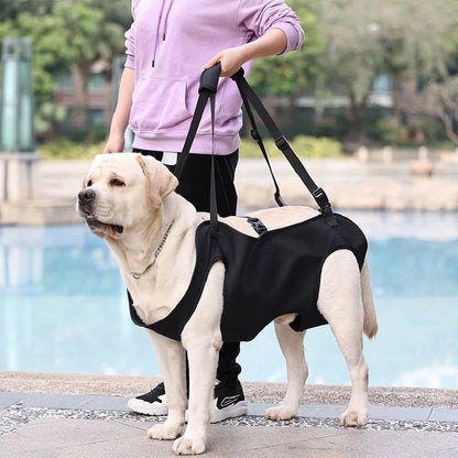 Ondersteunend Harnas voor Invalide en Hulpbehoevende Honden