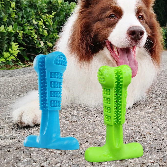 Gebitsverzorgend Speeltje voor Honden