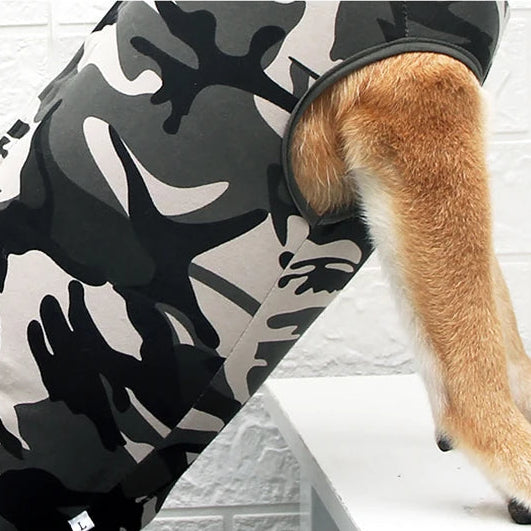 Sterilisatie Romper Voor Honden