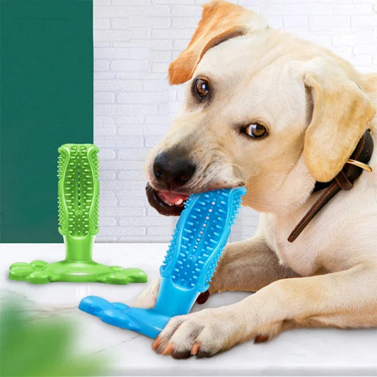 Gebitsverzorgend Speeltje voor Honden