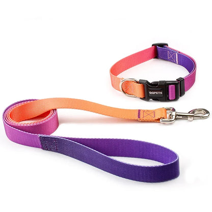 Halsband & Riem Set