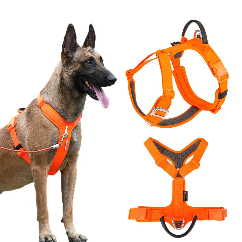 Luxe Honden Wandel Set