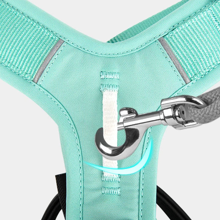 Luxe Honden Wandel Set