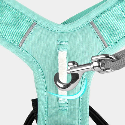 Luxe Honden Wandel Set