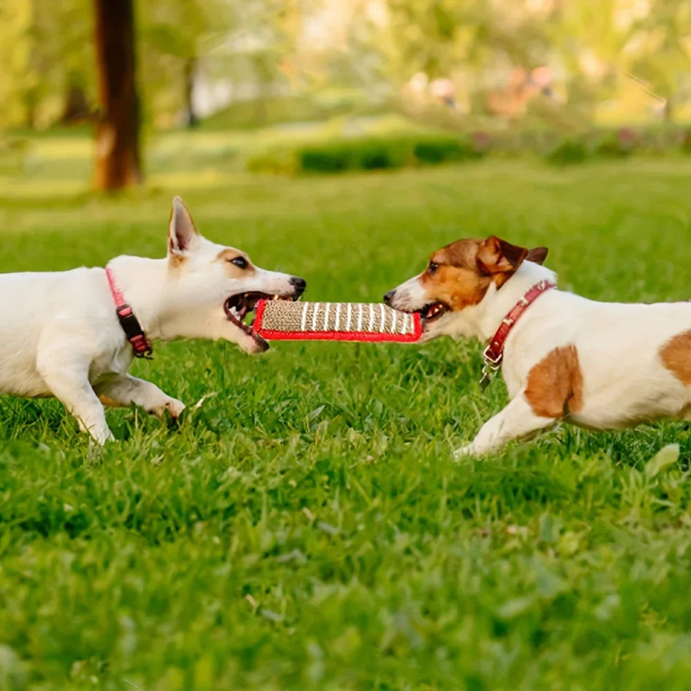 Honden Training & Bijt Stick