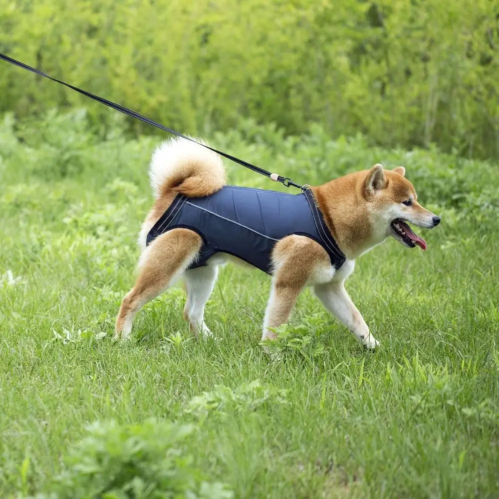 Ondersteunend Harnas voor Invalide en Hulpbehoevende Honden