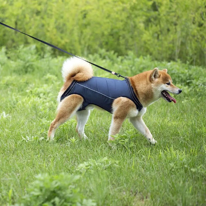 Ondersteunend Harnas voor Invalide en Hulpbehoevende Honden