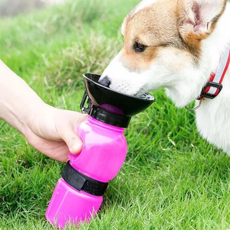 Drinkfontein Voor Honden