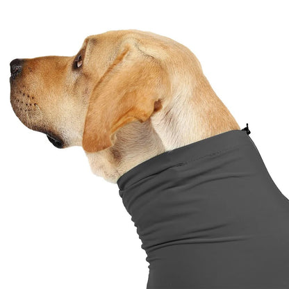 Operatie Onesie Voor Honden