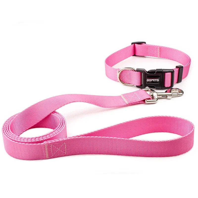 Halsband & Riem Set