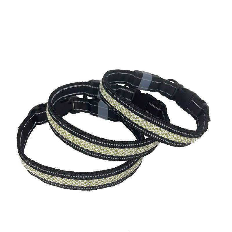 Led Halsband - Multie Kleur