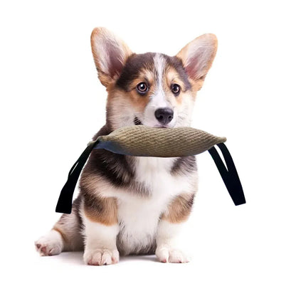 Honden Training & Bijt Speeltje