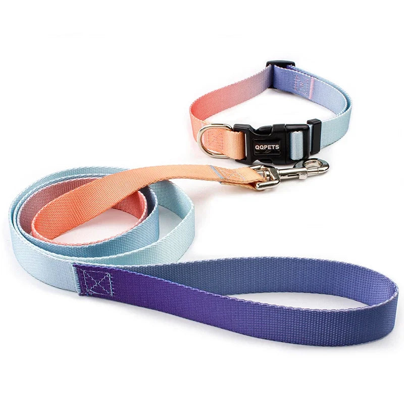 Halsband & Riem Set