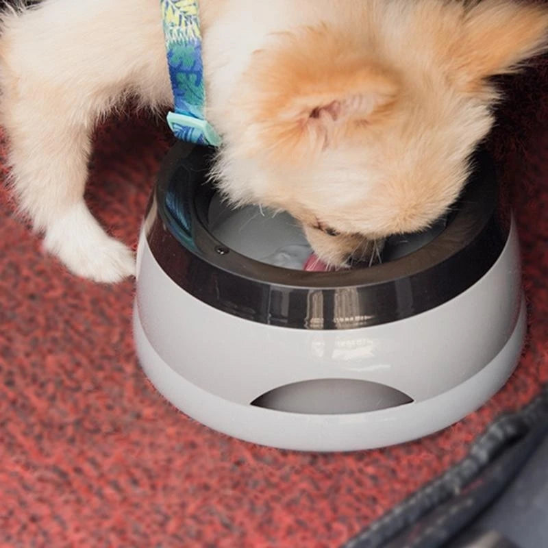 Honden Drinkbak Voor In De Auto