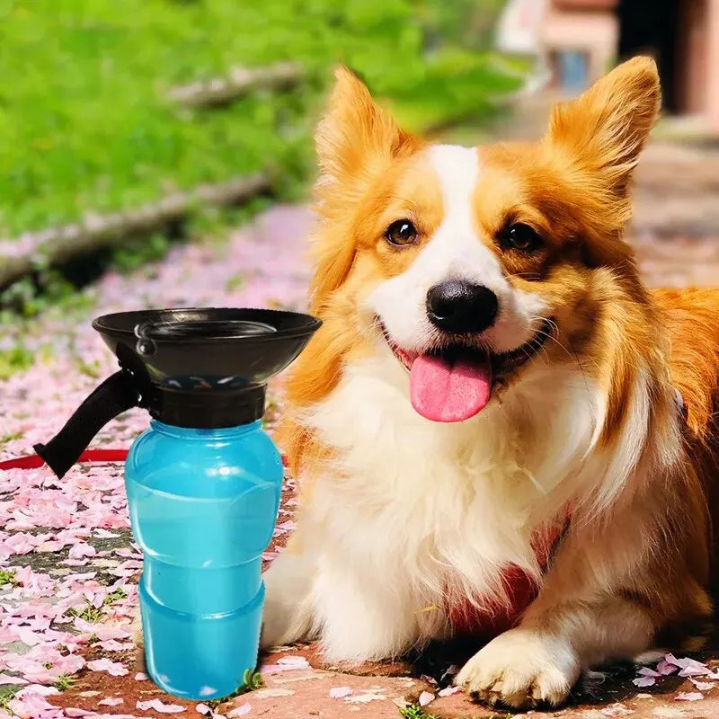 Drinkfontein Voor Honden