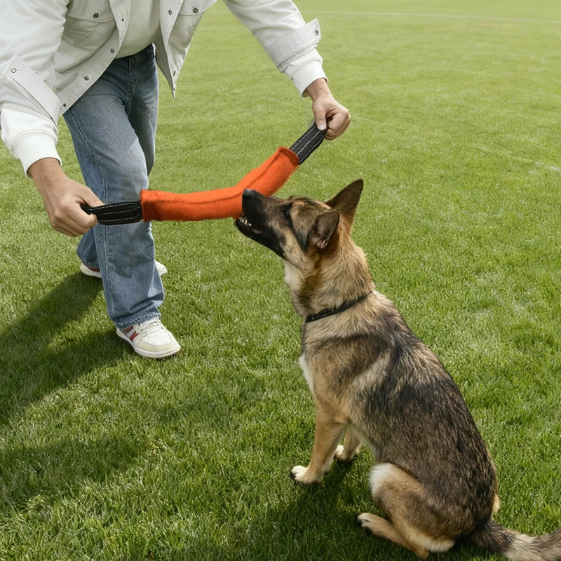 Honden Training & Bijt Stick