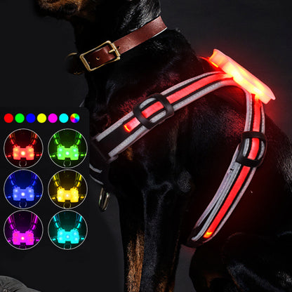 LED Honden Harnas 6 Kleuren