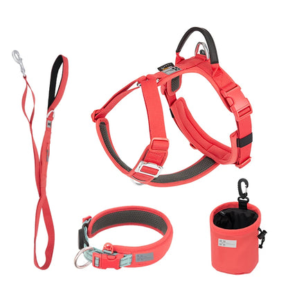 Luxe Honden Wandel Set