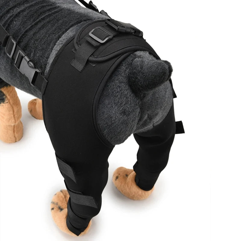 Herstelmouw Pootbrace Voor Achterpoten & Voorpoten