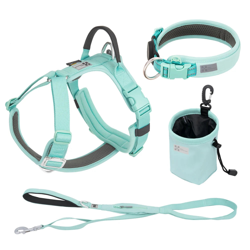 Luxe Honden Wandel Set