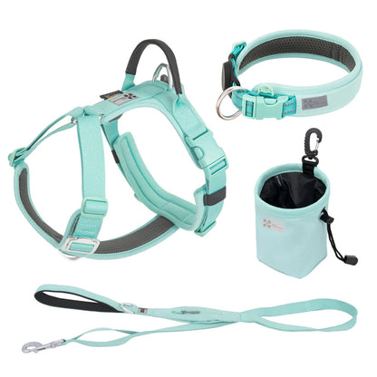 Luxe Honden Wandel Set