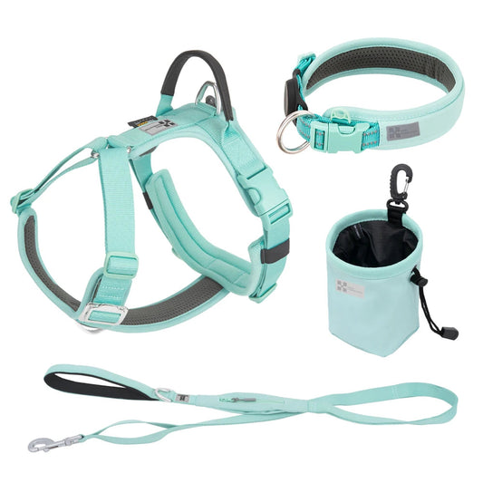 Luxe Honden Wandel Set