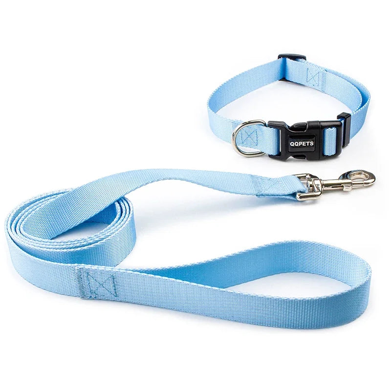 Halsband & Riem Set