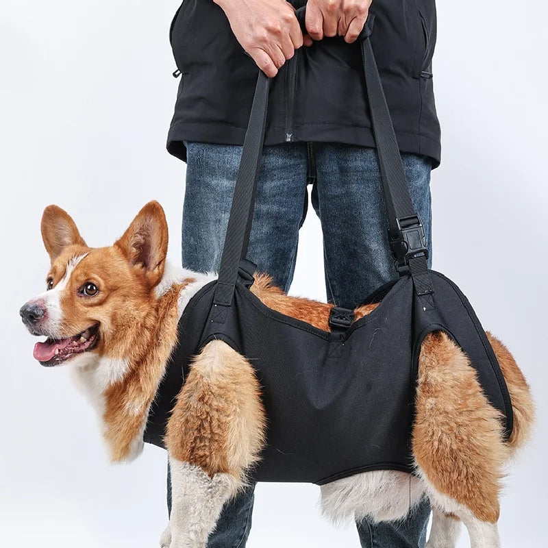 Ondersteunend Harnas voor Invalide en Hulpbehoevende Honden