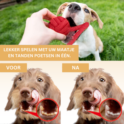 Hondenspeeltjes - Set van 6 (Kleine & Medium Honden)